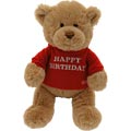 Happy Birthday Message Bear