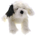 Old English Sheepdog