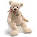 Shelley Bear