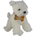 West Highland Terrier Dog