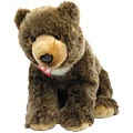 Wild Bear