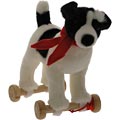 Jack Russell on Wheels