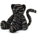 Cara Charismatic Cat