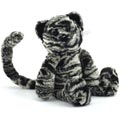 Carys Charismatic Cat