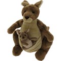 Jirra Kangaroo