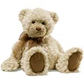 Kenneth Brown Bear