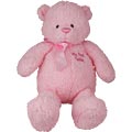 Baby Gund - Large Pink Teddy Bear