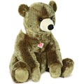 Large Wild Bear