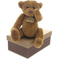 Little Brown Bear