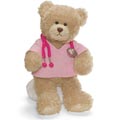 Little Nurse Bear