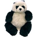 Panda Cub