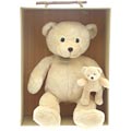 Histoire d'Ours - Mummy and Baby Bear