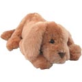 Muttsy Dog
