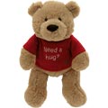 Need a Hug Bear