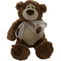 Patient Bear