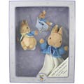 Peter Rabbit Gift Box Set