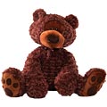 Philbin Chocolate Jumbo