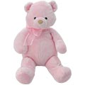Baby Girls Teddy Bear