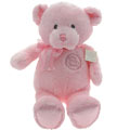 My 1st Teddy Musical