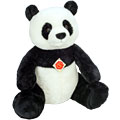 Panda Bear Poppy