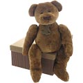 Soft Brown Bear