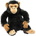 Jeepers Peepers Chimpanzee