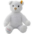 Teddy Bear for Baby