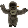 Little Gorilla
