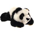 Lying Panda Bear
