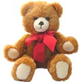 Molly Teddy Bear