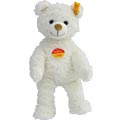 White Teddy Bear