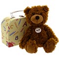 Teddy Bear in School Suitcase
