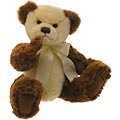 Teddy Bear Noah