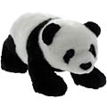 Panda Baby
