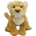 Lion Cub