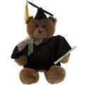 Undergraduate Bear