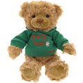 Warm Hugs Bear
