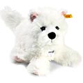 West Highland Terrier Dog