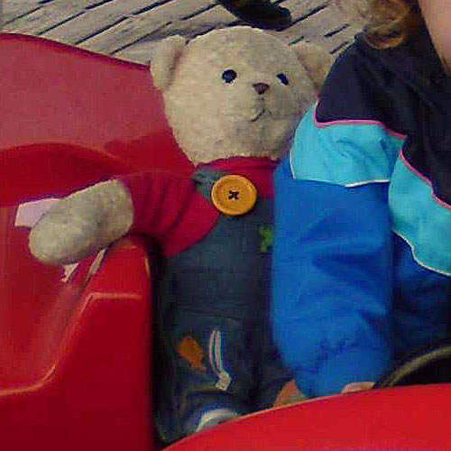 Close up of Jimmy's lost teddy bear