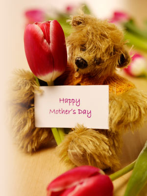 Mothers Day Bear