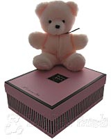 Baby Bear Pink