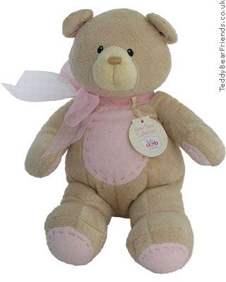 Baby Gund Bear Tales Baby Girl Teddy