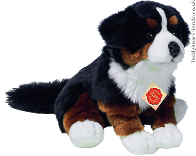 teddy dog toy