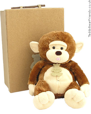 Cuddly Monkey Histoire d'Ours Cuddly Monkey