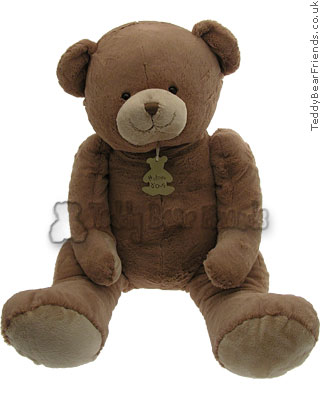 Histoire d'Ours Giant Brown Bear