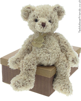 Grey Shaggy Bear Histoire d'Ours Grey Shaggy Bear
