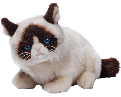 grumpy cat teddy