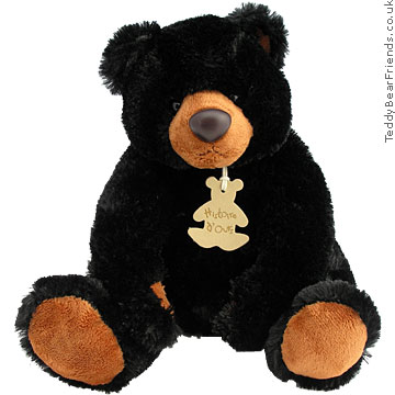 Little Black Bear Histoire d'Ours Little Black Bear