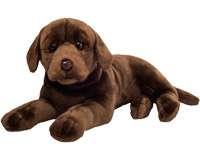Chocolate Labrador Teddy