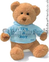 Baby Gund Its A Boy Bear